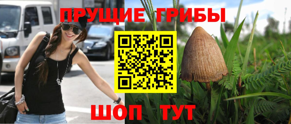 Галлюциногенные грибы MAGIC MUSHROOMS Ангарск
